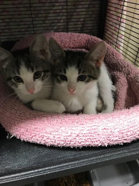 Mia and Ava